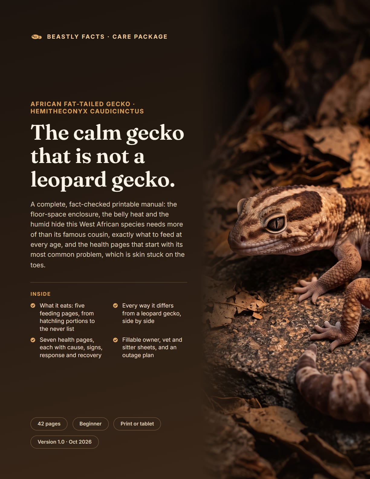 African Fat-Tailed Gecko Care Package, the cover page of the printable PDF