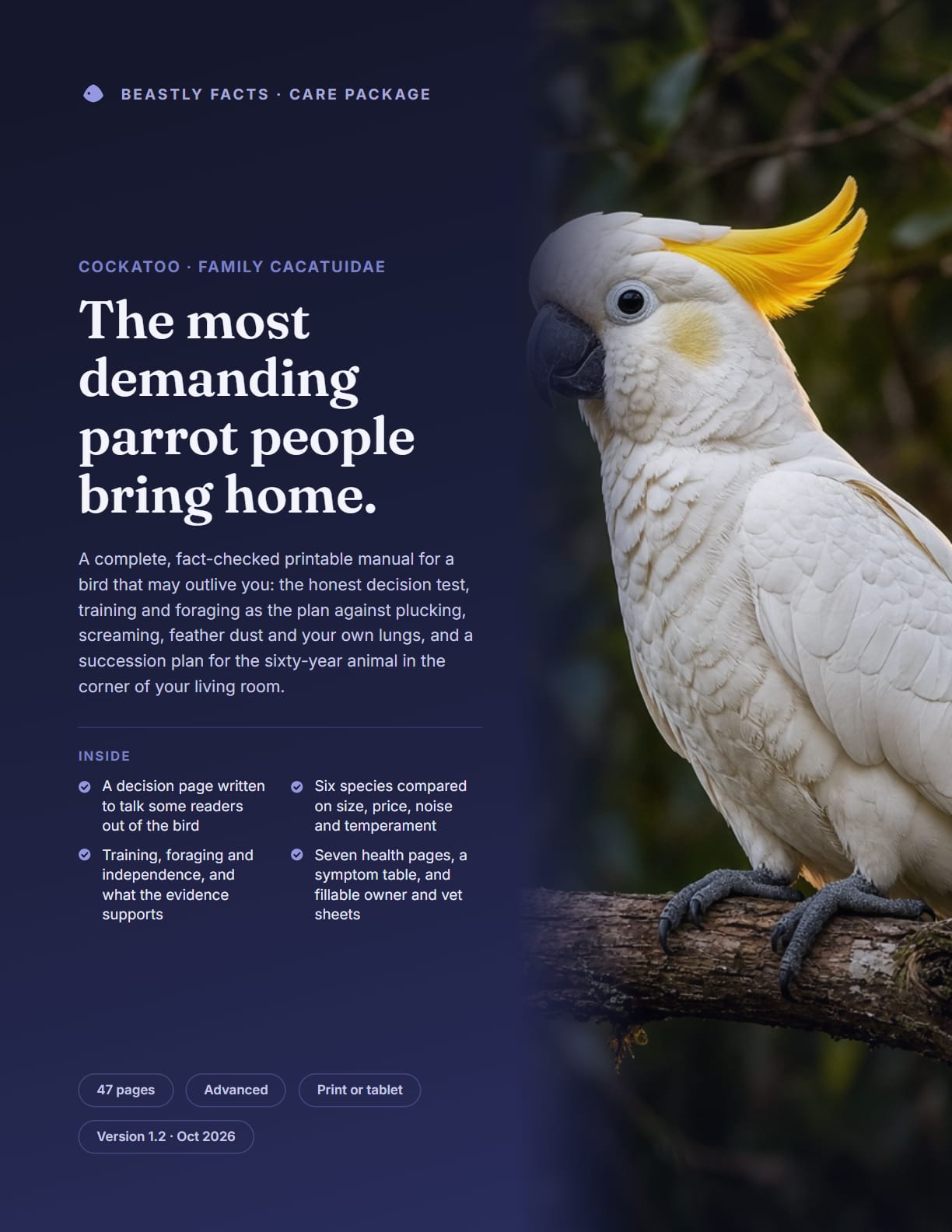 Cockatoo Care Package, the cover page of the printable PDF