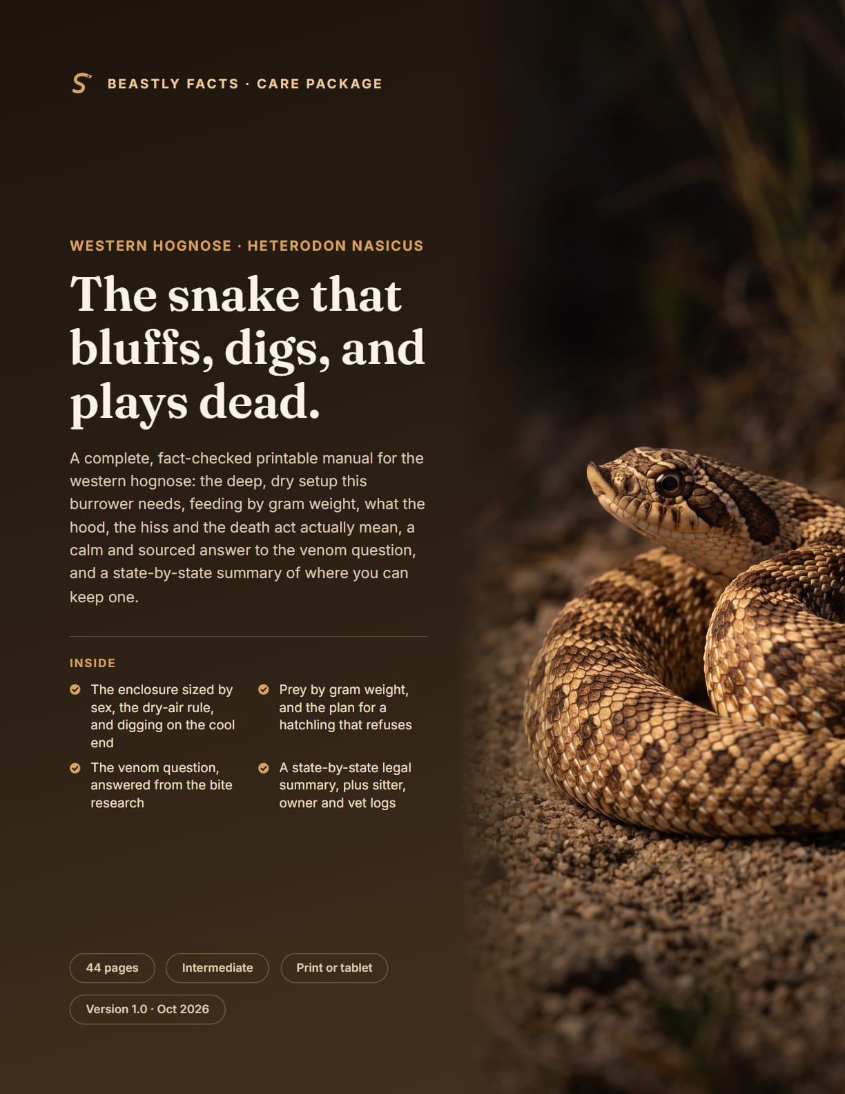 Hognose Snake Care Package, the cover page of the printable PDF