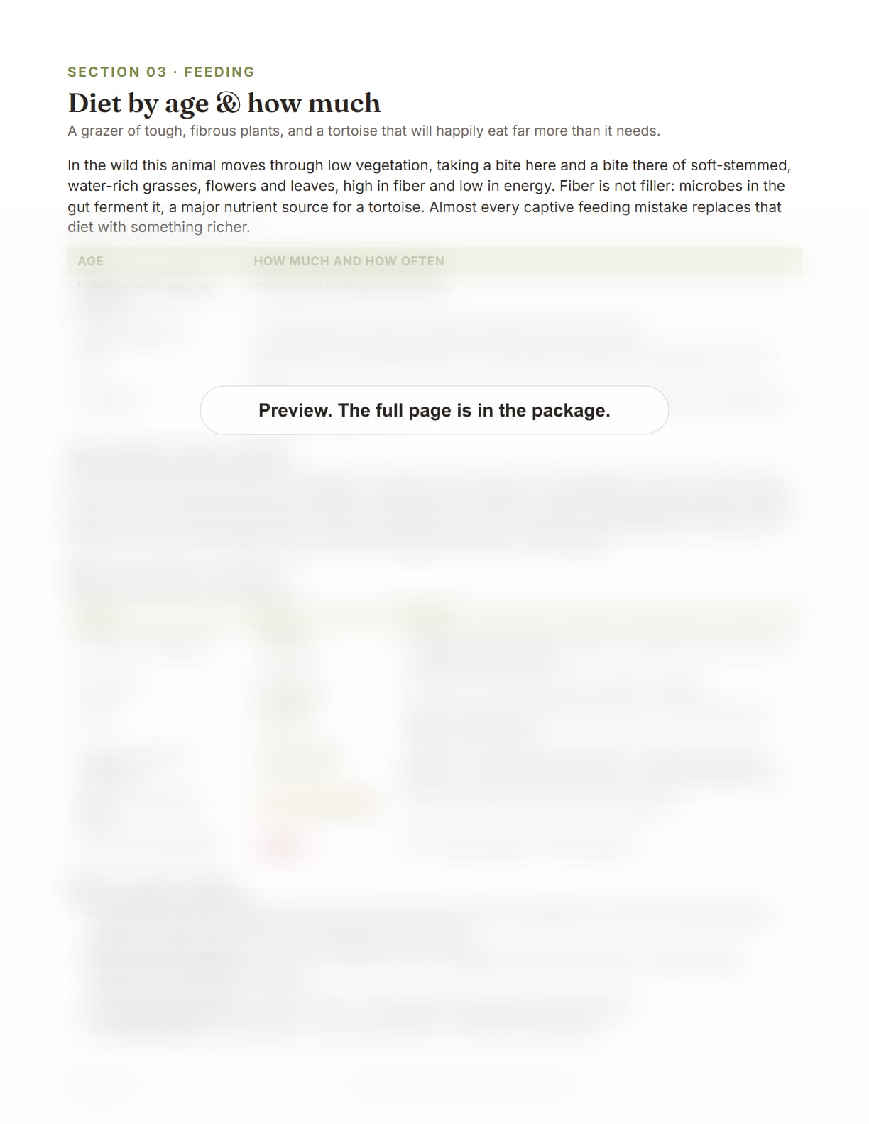 Russian Tortoise Care Package, page 13: Diet by age and how much
