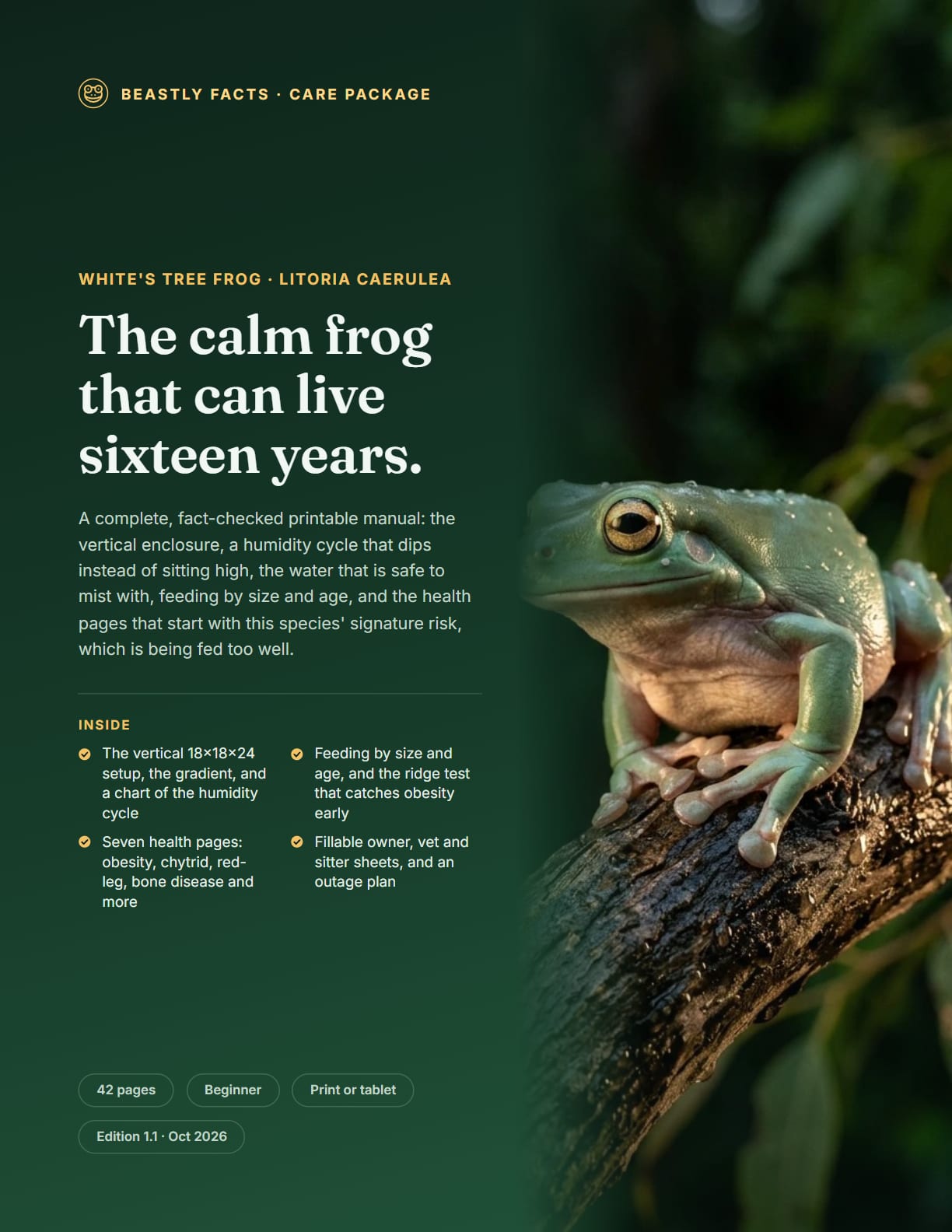 White's Tree Frog Care Package cover
