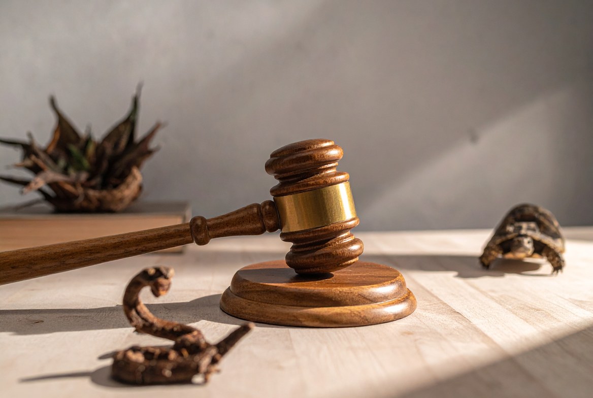 Gavel beside a variety of exotic pets representing US exotic pet law