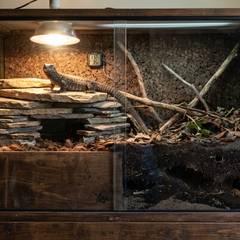 Ackie monitor enclosure with deep burrowing substrate, Retes stack, and basking lighting