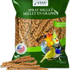 Living World Millet Spray (17.6 oz)