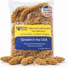 Birds LOVE Millet Tips & Tails, USA-Grown (1 lb)
