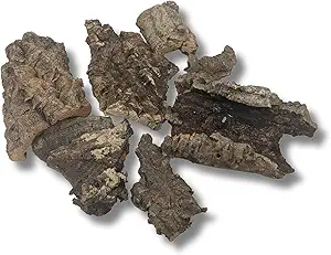 Cork Bark Bits - for Orchids, Airplants, Reptiles, Frogs, Springtails, Isopods, Terrariums, and Crafts (8)