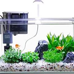 Vimvins 5 Gallon Glass Small Fish Tank with Filter Light and Lid, Betta Aquarium Starter Kits