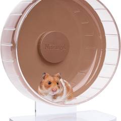 Niteangel Super-Silent Hamster Exercise Wheel, 10 inch