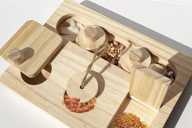 FlidRunest Bearded Dragon Feeder Puzzle, Wooden Lizard Feeding Box, Reptile Interactive Enrichment Food Feeder Training Treat Dispenser for Lizard Bearded Dragon Frog Hamster