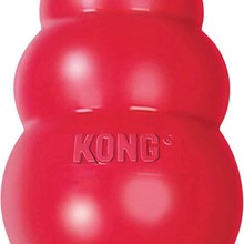 Durable chew toys (KONG, dogs only)