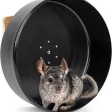Solid exercise wheel (chinchilla)