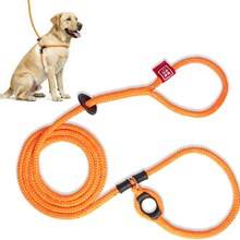 Leash + harness (no-pull set)
