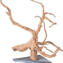 Driftwood