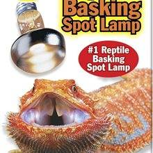 Zoo Med Basking Spot Lamp (75W, 2 Pack)