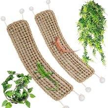 Bearded Dragon Hammock Kit, Natural Seagrass Fiber (2 Pack)