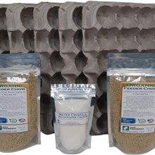 Dubia Roach Colony Starter Kit (1 lb)
