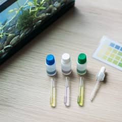 A freshwater aquarium water test kit with color-coded vials for ammonia, nitrite, and nitrate lined up beside a planted tank