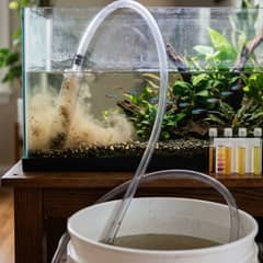 A gravel vacuum siphoning water from a planted freshwater aquarium into a bucket, with a test kit and a bottle of water conditioner on the stand beside it