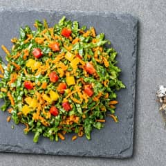 Chopped bearded dragon salad of leafy greens, shredded carrot, and diced red and yellow bell pepper on a slate tile beside a calcium-dusted feeder insect