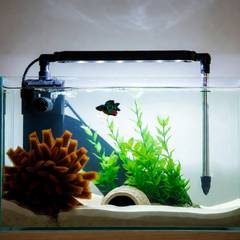Heated five gallon betta tank with a sponge filter, plants, and a hide