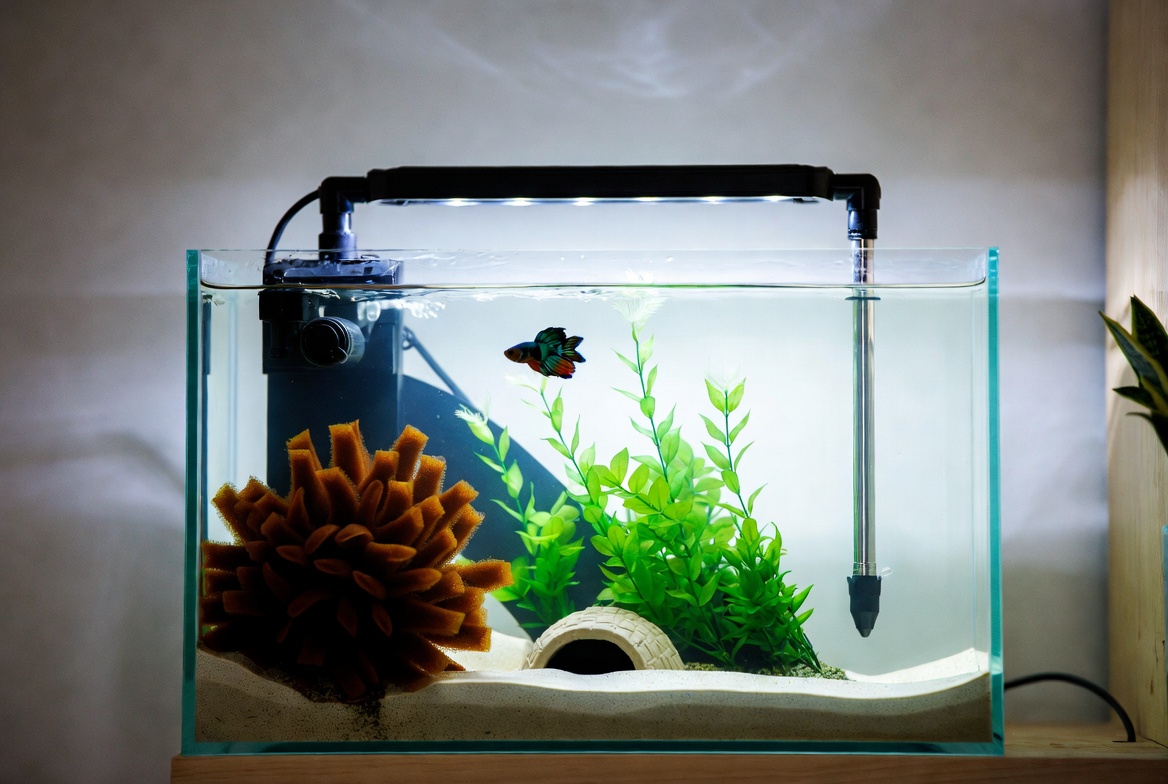 Heated five gallon betta tank with a sponge filter, plants, and a hide
