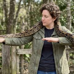 Boa constrictor supported across both arms during a handling session