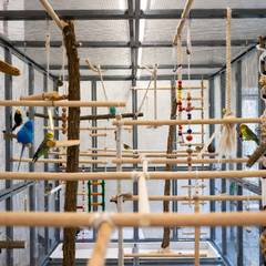 Budgie flight cage with varied perches and food dishes