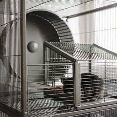Chinchilla multi-level metal cage with solid shelves, a wheel, and a dust bath house