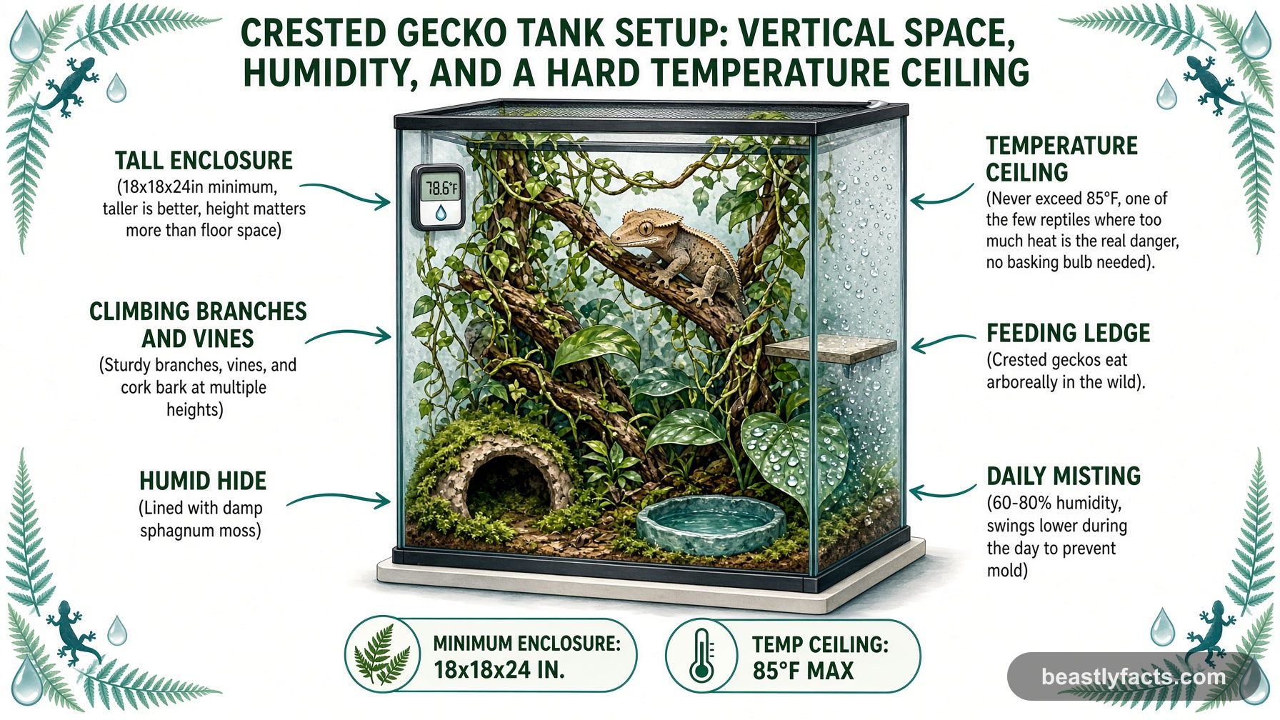 Labeled diagram of a crested gecko tank showing climbing branches, a feeding ledge, a humid hide, and daily misting