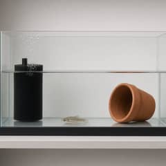 A bare 10-gallon hospital tank with a sponge filter and heater set up beside a display aquarium for quarantining a new fish