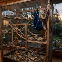 Flying Squirrel Cage Setup Guide
