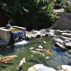 Outdoor koi pond with visible filtration, aeration, and predator netting