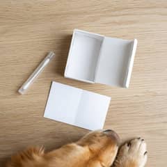 Cheek swab sample being prepared for a companion animal genetic test