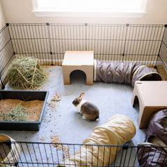 Rabbit exercise pen setup with litter box, hay feeder, and hides