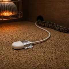 A digital reptile thermostat unit wired to an under tank heat mat, with the sensor probe taped to the basking surface inside a snake enclosure
