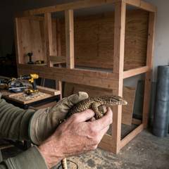Savannah monitor lizard next to its enclosure setup, illustrating the gap between purchase price and true cost of care