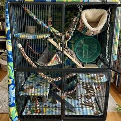 Sugar glider cage with tall vertical climbing space, a sleeping pouch, and an exercise wheel
