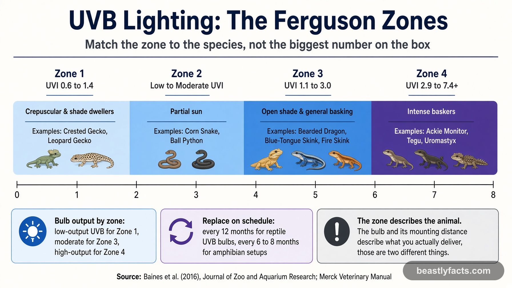 Diagram of the four Ferguson Zones for reptile UVB lighting, with UV index ranges and example species for each zone from shade dwellers to intense baskers