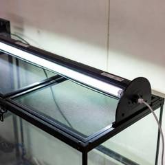 Bearded dragon under a modern T5 UVB light fixture showing proper lighting gradient